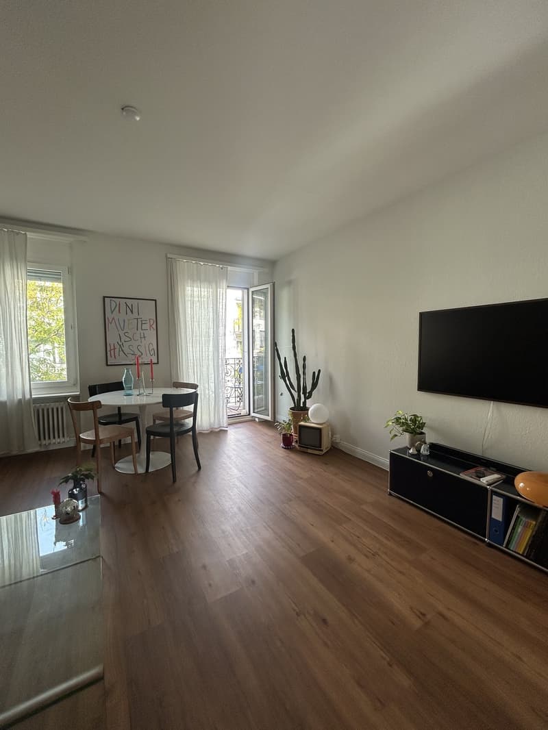 Schönes Zimmer in rennovierter 2er-WG nahe Stauffacher (1)