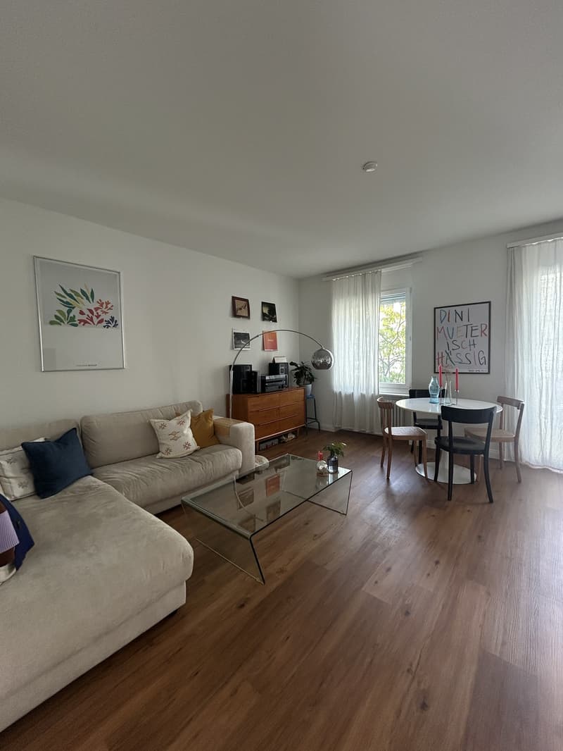 Schönes Zimmer in rennovierter 2er-WG nahe Stauffacher (3)