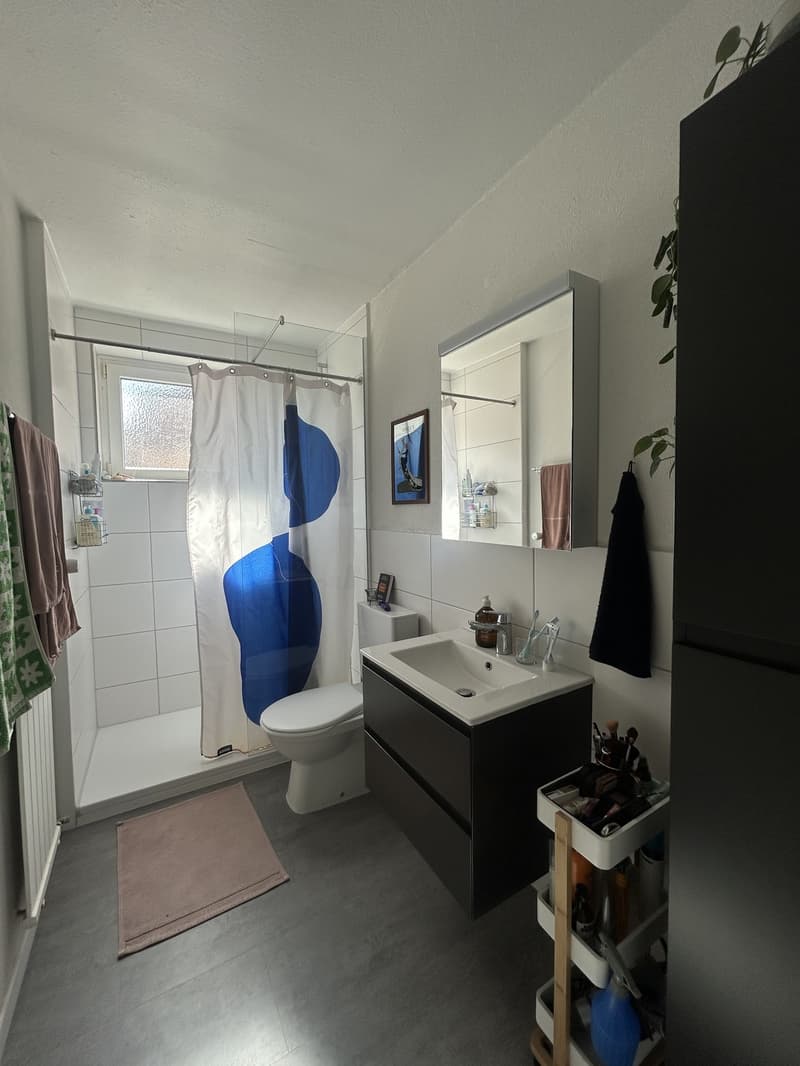 Schönes Zimmer in rennovierter 2er-WG nahe Stauffacher (5)