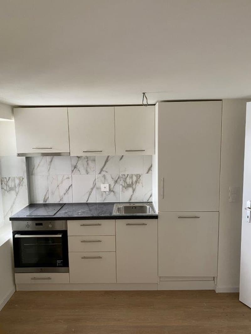 Helle 1-Zimmer-Wohnung mit Balkon in Fehraltorf (4)