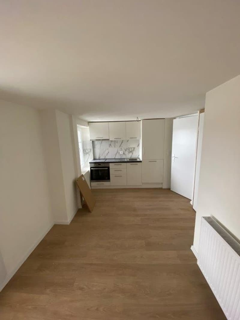 Helle 1-Zimmer-Wohnung mit Balkon in Fehraltorf (5)
