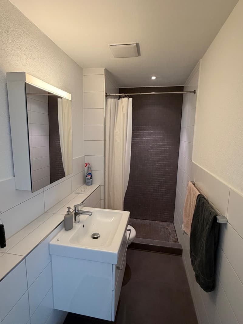 Helle 4.5-Zimmer-Wohnung mit unverbauter Aussicht in Gutenswil  Nachmieter per 01.11.2026 gesucht (10)