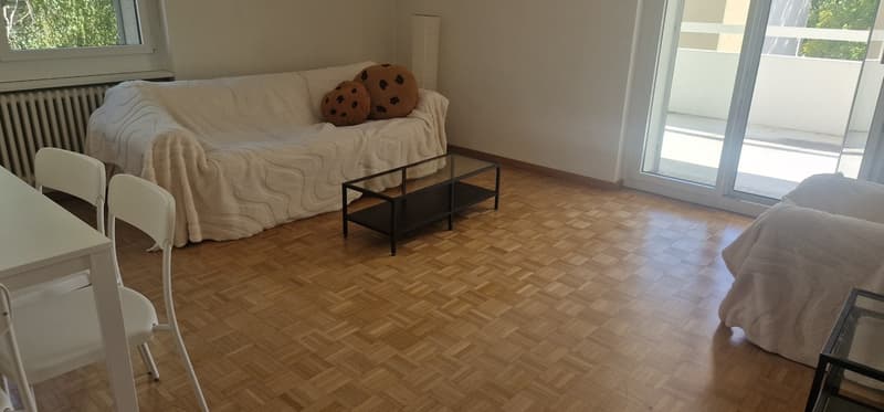 3 Zimmer Wohnung mit groszügigem Balkon in Zürich Uster zu vermieten (7)