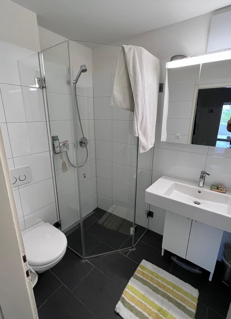 3 Zimmer Wohnung mit groszügigem Balkon in Zürich Uster zu vermieten (3)