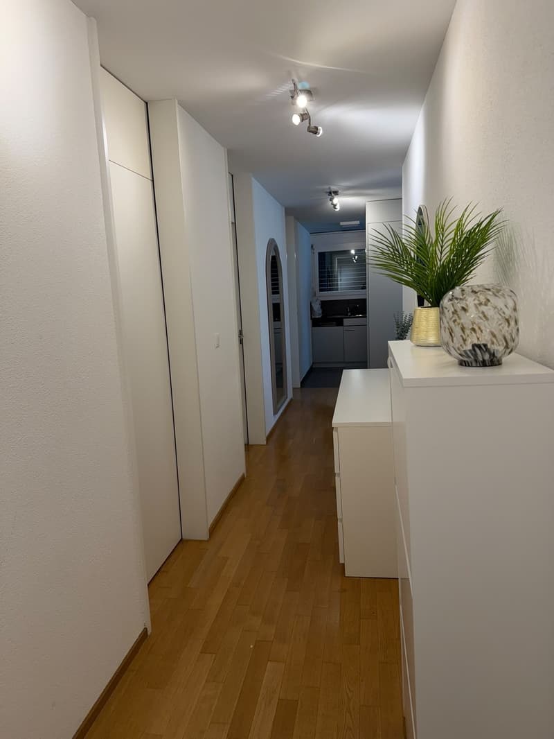 Nachmieter gesucht in Wetzikon ab 04.01.2027 (8)