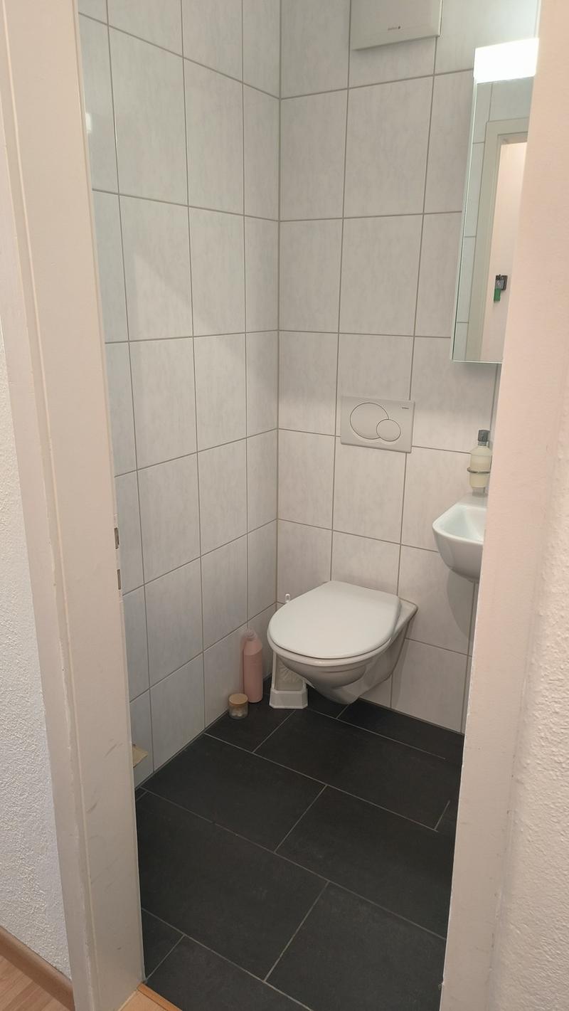1 Zimmer-Wohnung, 8406 Winterthur (9)