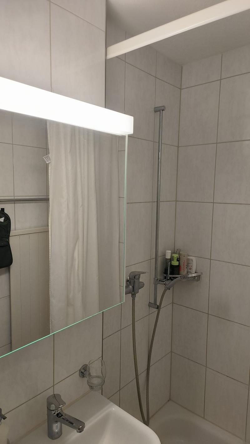 1 Zimmer-Wohnung, 8406 Winterthur (8)