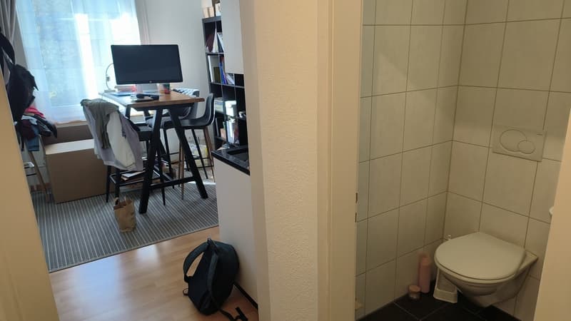 1 Zimmer-Wohnung, 8406 Winterthur (6)