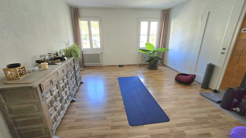 Helle 4.5 Zimmer Wohnung inkl. 2 Parkplätze (7)