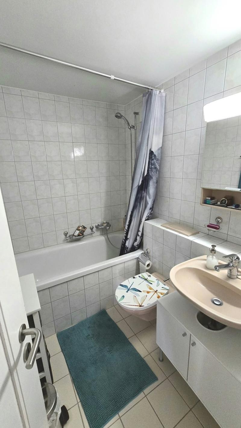 Helle 4.5 Zimmer Wohnung inkl. 2 Parkplätze (4)