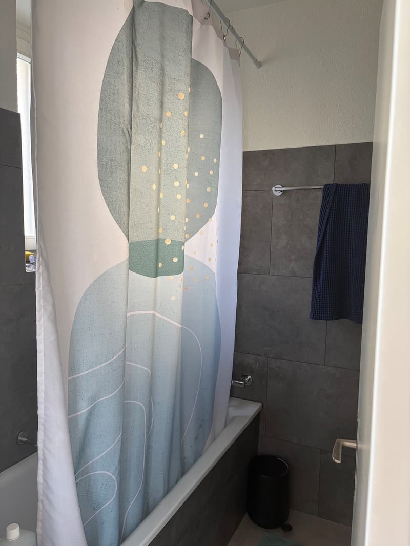3.5 Zimmer im Wesemlin und Pilatusblick (6)