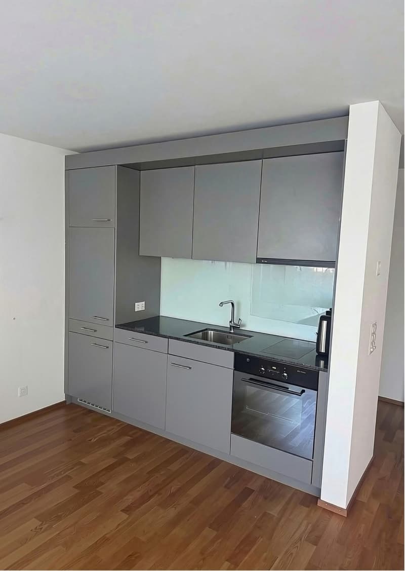 2.5 Zimmer Wohnung in Baar (Stadtgrenze Zug) (2)