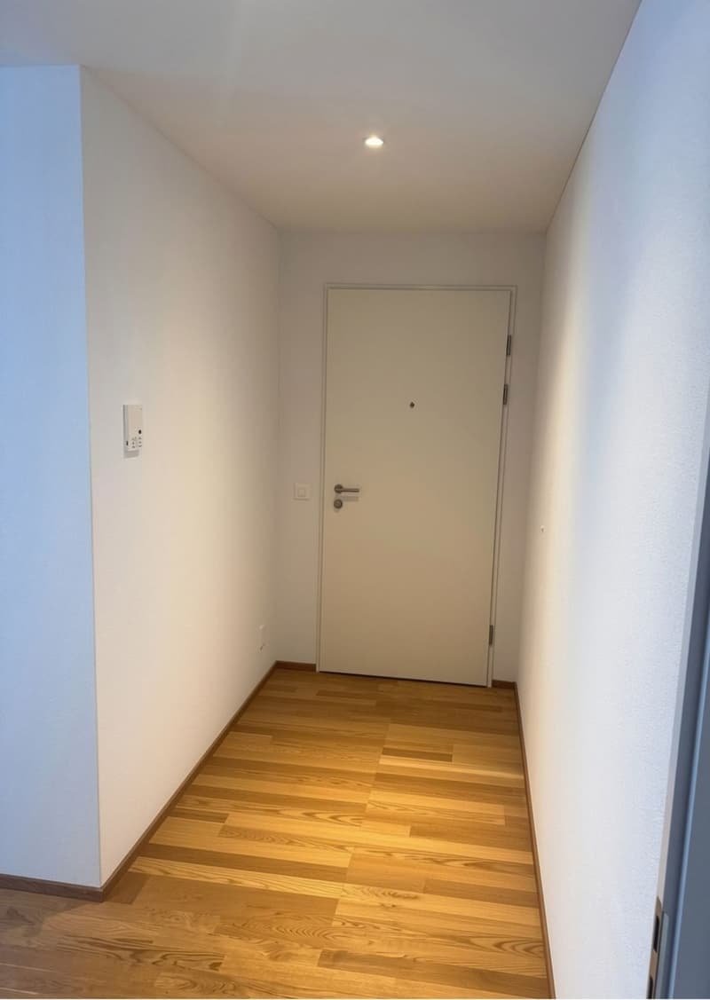 2.5 Zimmer Wohnung in Baar (Stadtgrenze Zug) (1)