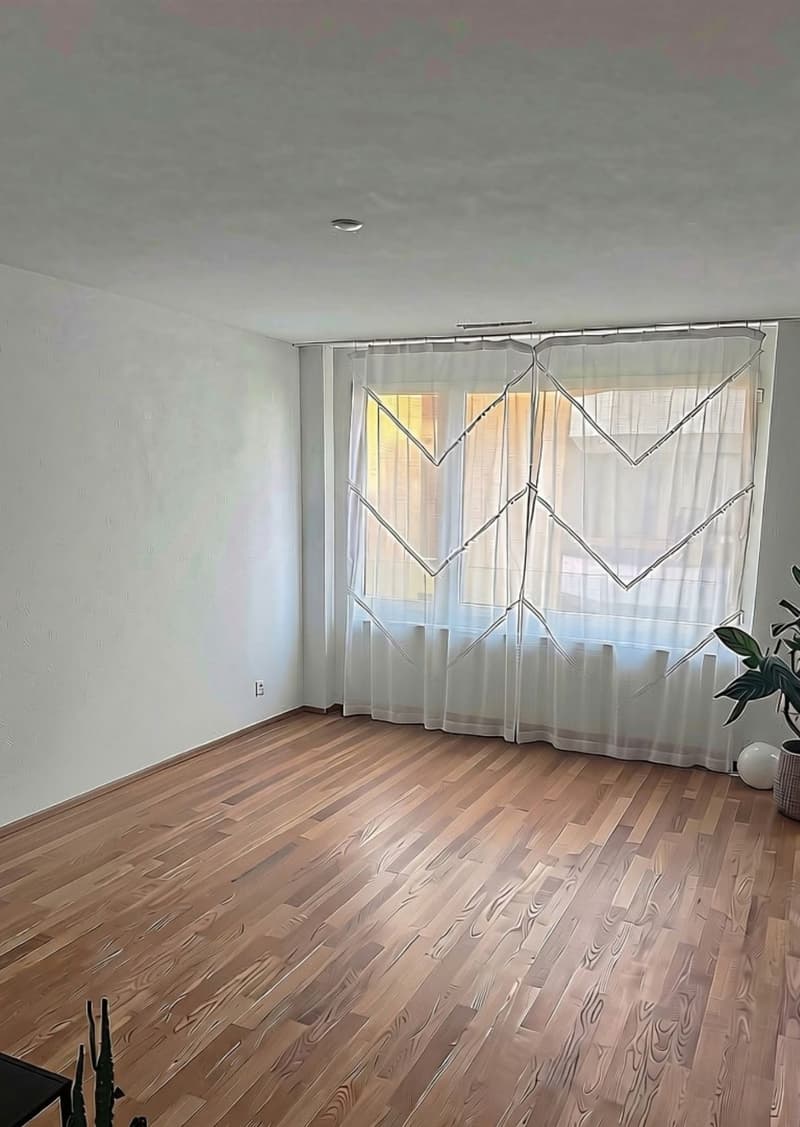 2.5 Zimmer Wohnung in Baar (Stadtgrenze Zug) (5)