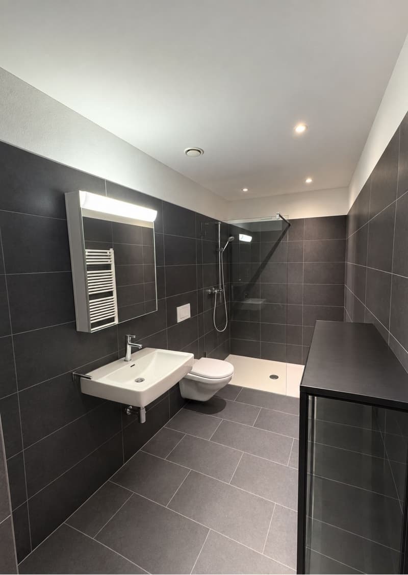 2.5 Zimmer Wohnung in Baar (Stadtgrenze Zug) (6)