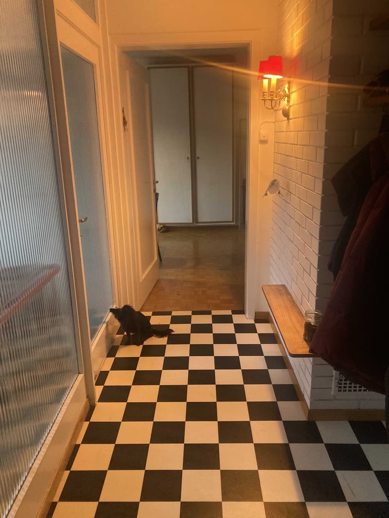 4.5-Zimmer-Wohnung mit 120 m² privater Terrasse an der Grenze Lorraine/Breitenrain (8)