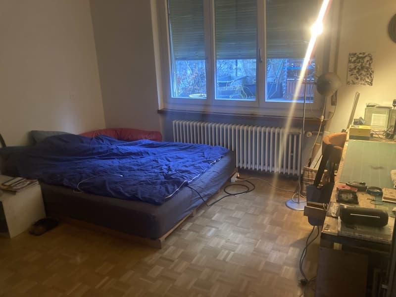 4.5-Zimmer-Wohnung mit 120 m² privater Terrasse an der Grenze Lorraine/Breitenrain (3)