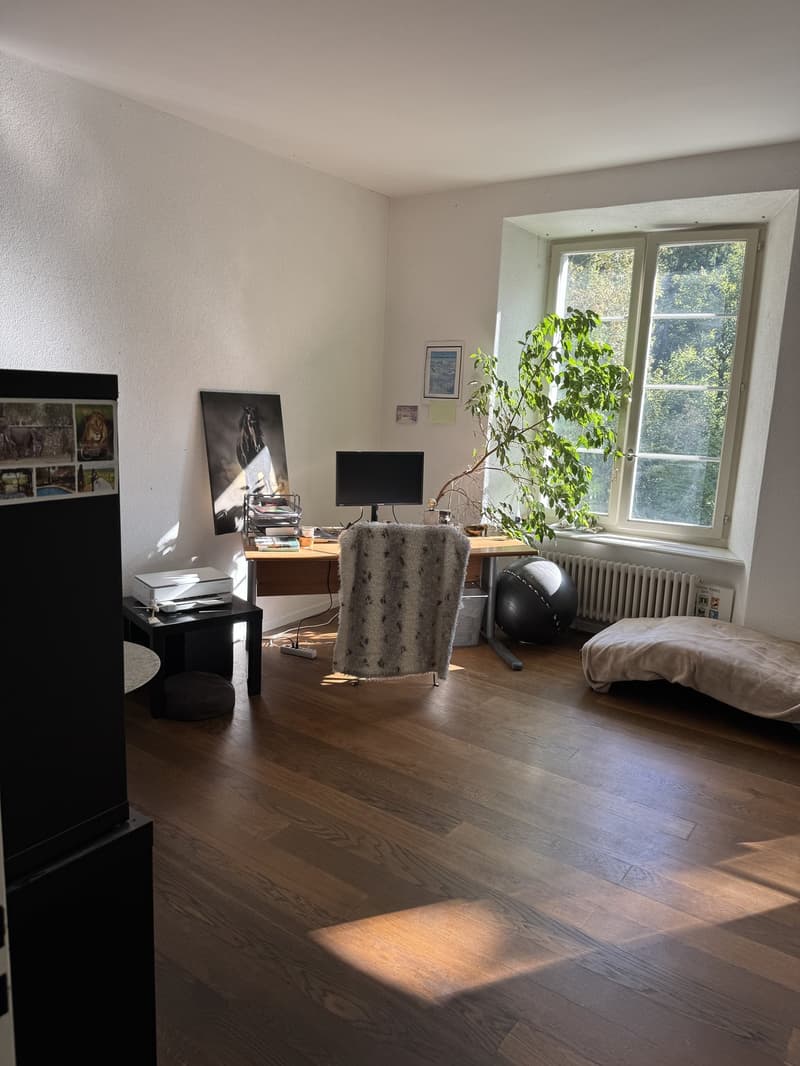 Grosszügiges WG-Zimmer mit eigenem Bad in Meilen befristet 612 Monate (1)