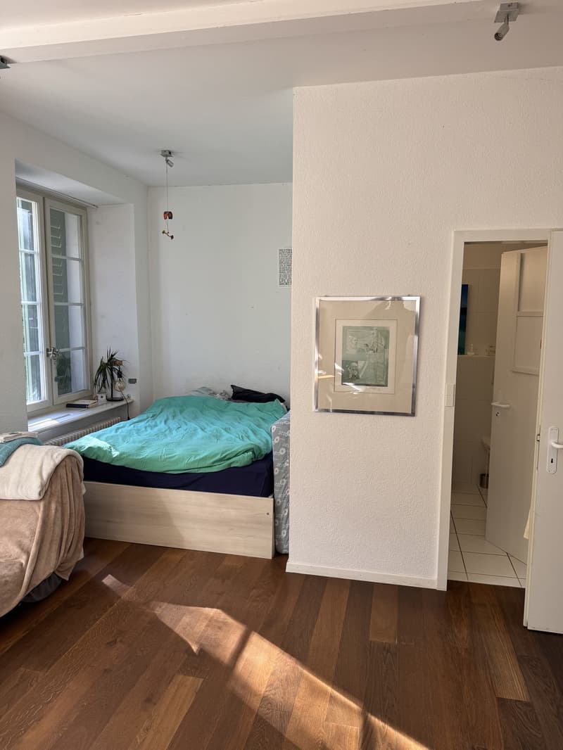 Grosszügiges WG-Zimmer mit eigenem Bad in Meilen befristet 612 Monate (3)