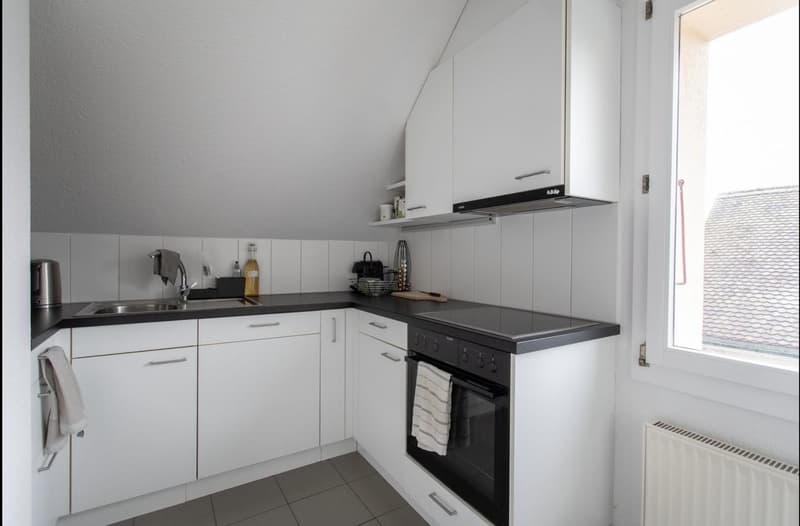 3-Zimmer-Wohnung in Bern (Tiefenau) (6)