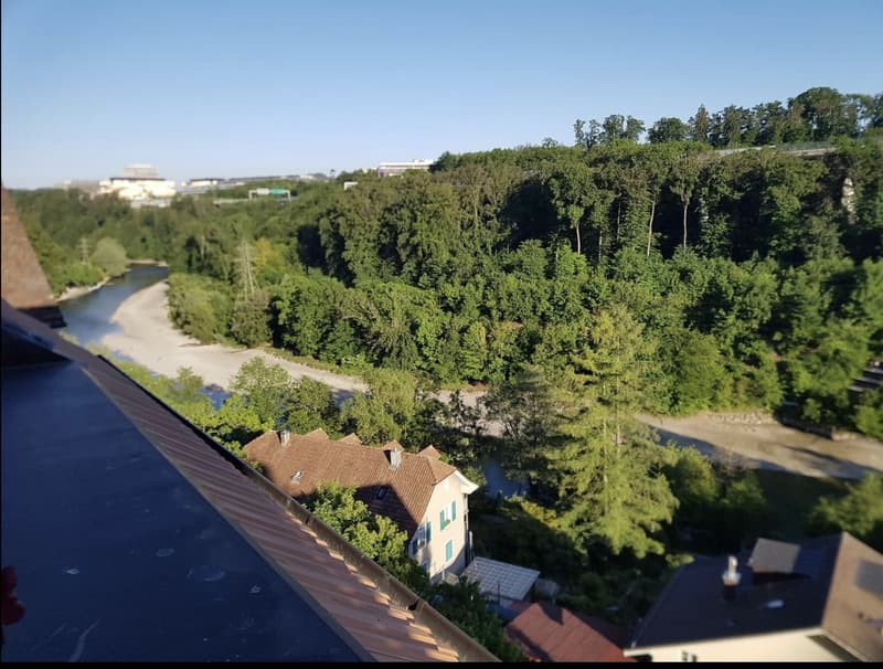 3-Zimmer-Wohnung in Bern (Tiefenau) (9)