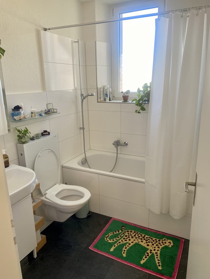 Room in a shared flat, 5000 Aarau (11)