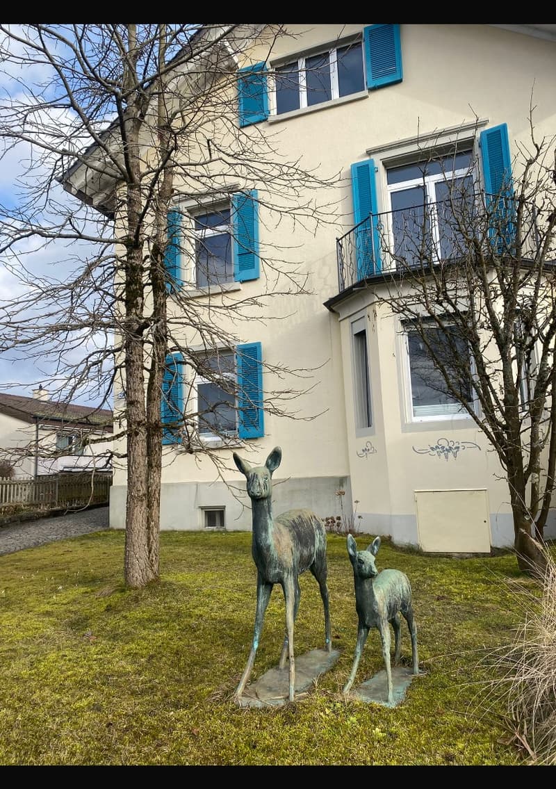 Room in a shared flat, 5000 Aarau (2)