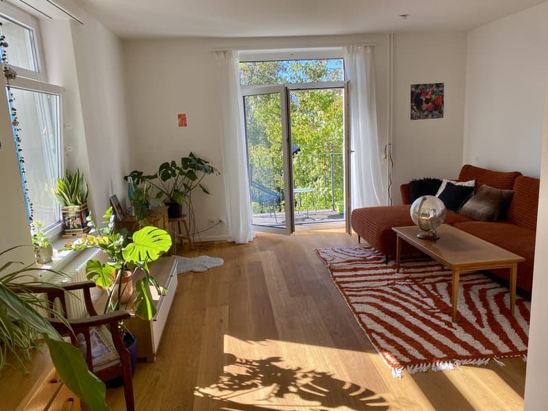 Room in a shared flat, 5000 Aarau (1)