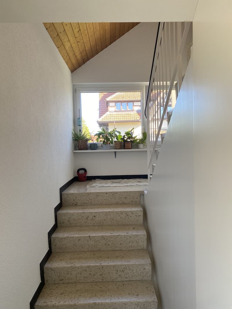 Room in a shared flat, 5000 Aarau (13)