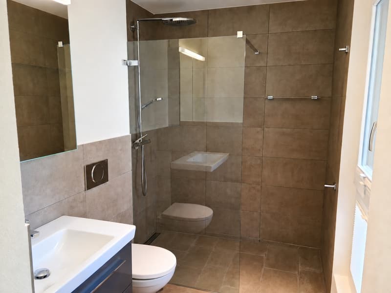 Attraktive 4.5 Zi-Wohnung in ruhigem Wohnquartier (5)
