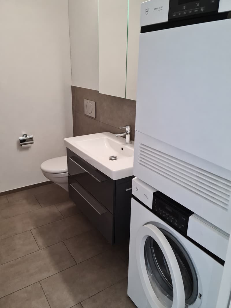 Attraktive 4.5 Zi-Wohnung in ruhigem Wohnquartier (4)