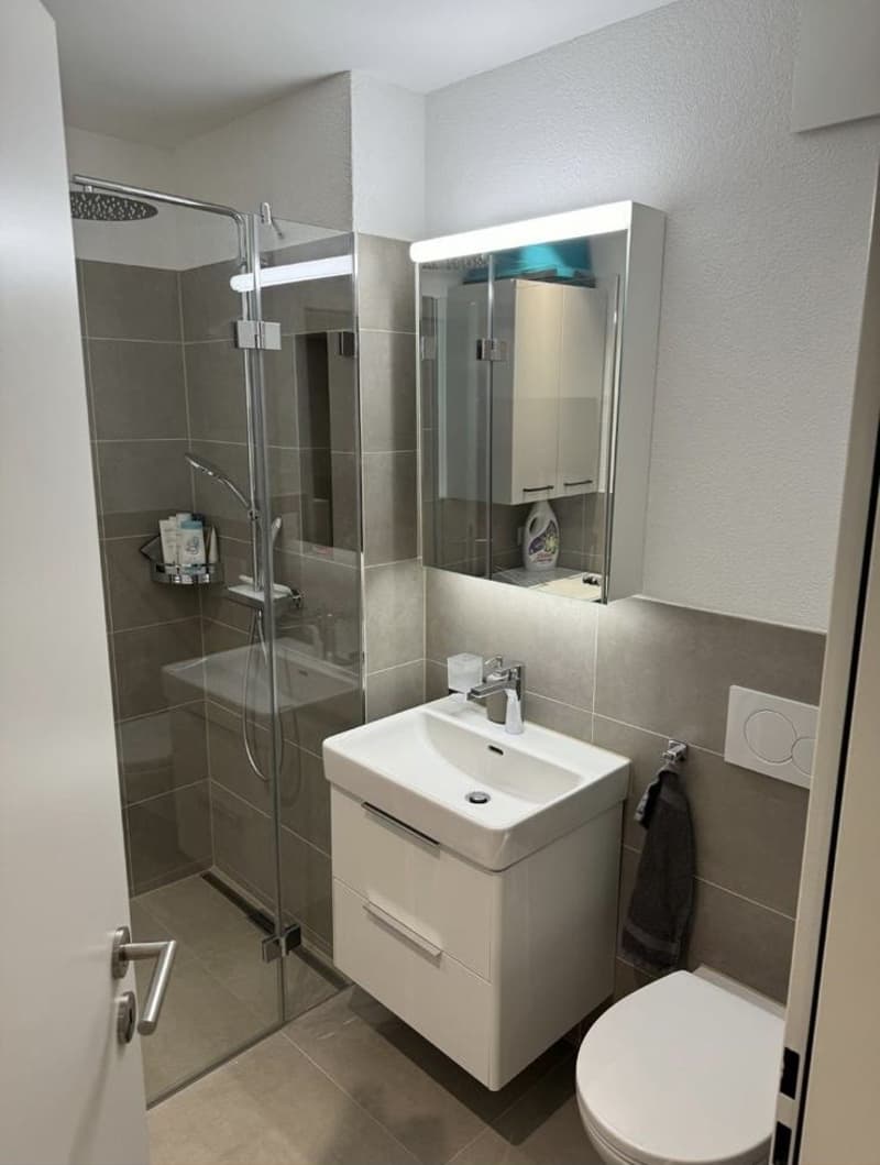 Modern Apartment for Sublet in Zurich Wiedikon (1.11.2026 - 31.5.2027) (8)
