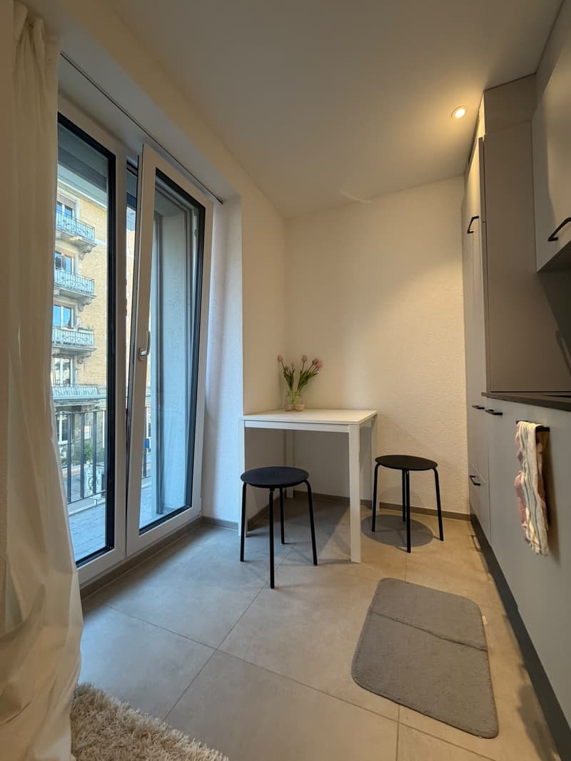 Modern Apartment for Sublet in Zurich Wiedikon (1.11.2026 - 31.5.2027) (3)