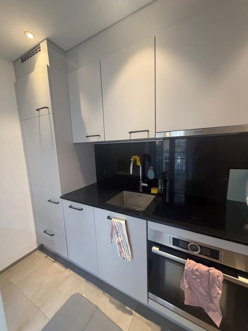 Modern Apartment for Sublet in Zurich Wiedikon (1.11.2026 - 31.5.2027) (5)