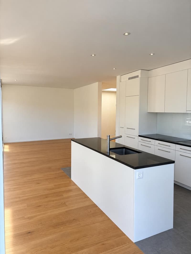 NACHMIETER GESUCHT 4.5 ZIMMERWOHNUNG (5)