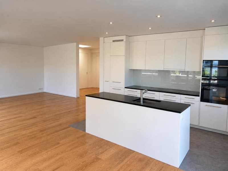 NACHMIETER GESUCHT 4.5 ZIMMERWOHNUNG (4)