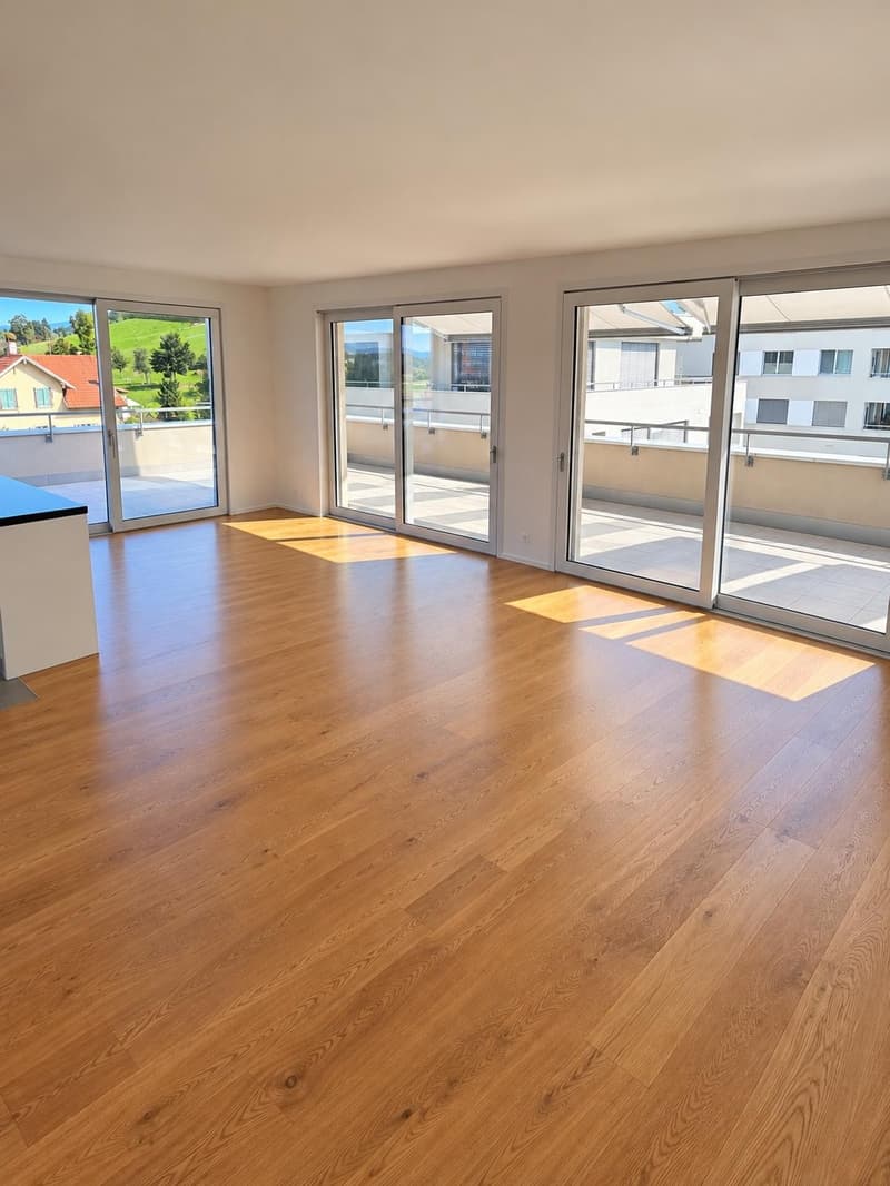 NACHMIETER GESUCHT 4.5 ZIMMERWOHNUNG (6)