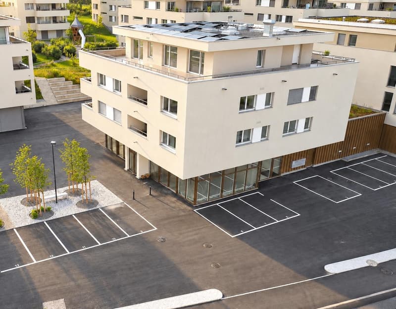 NACHMIETER GESUCHT 4.5 ZIMMERWOHNUNG (12)