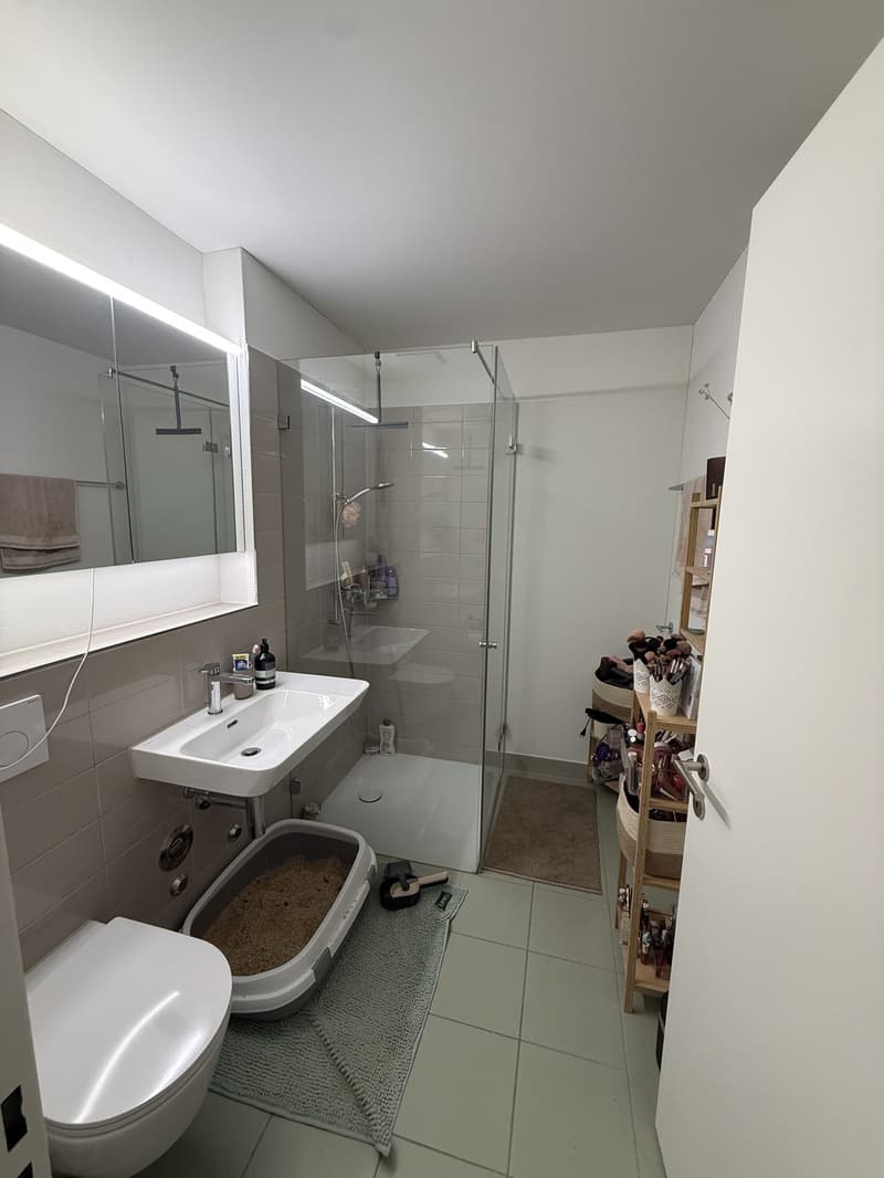 2.5-Zimmer-Wohnung in Zürich Manegg (4)