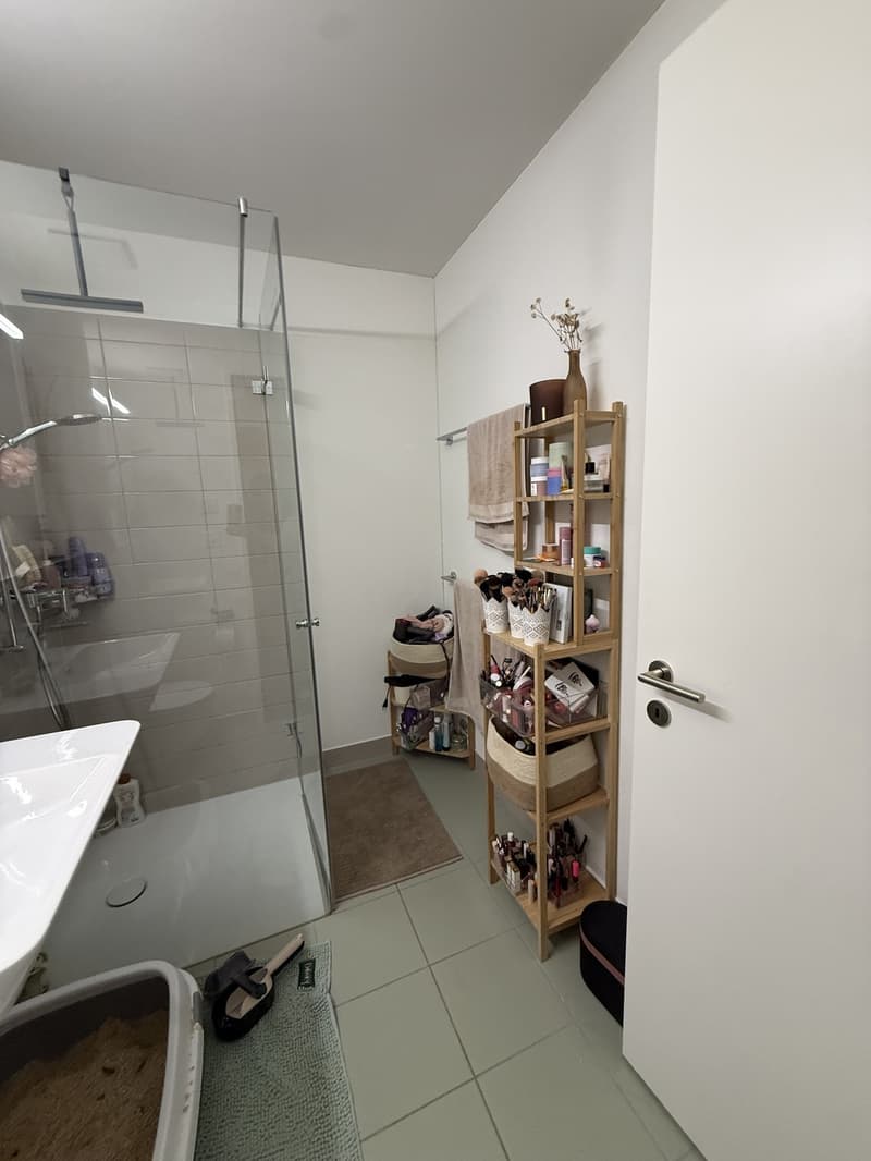 2.5-Zimmer-Wohnung in Zürich Manegg (3)