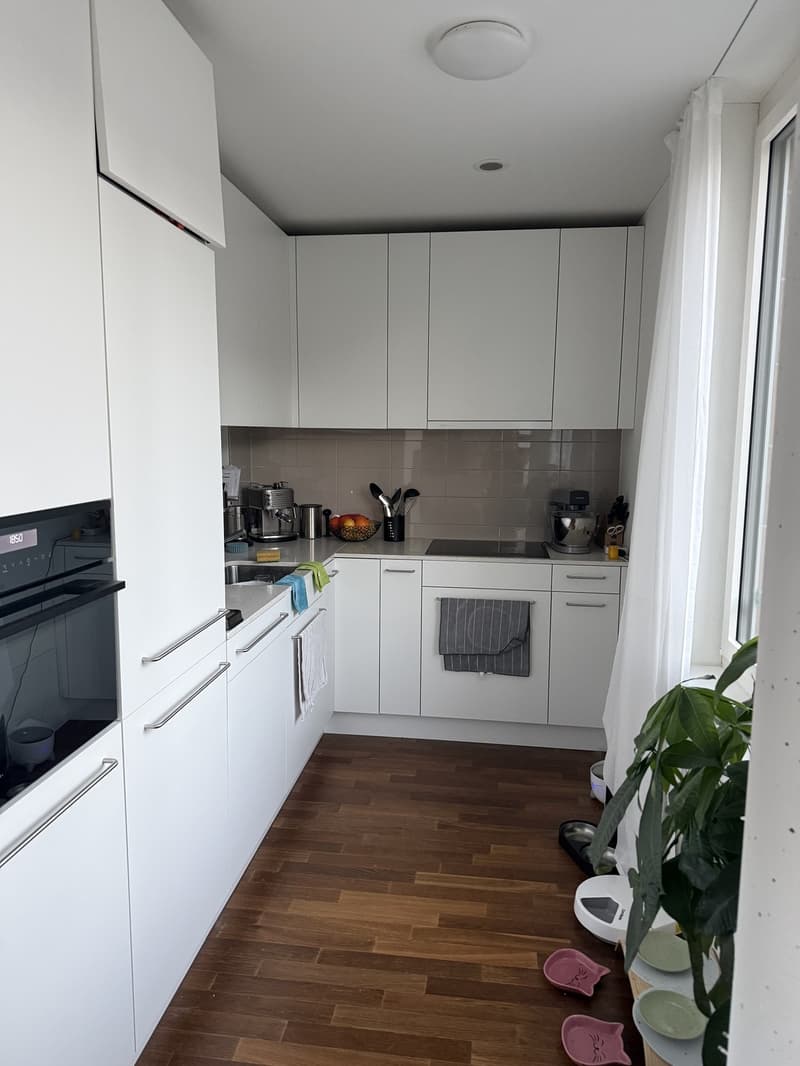 2.5-Zimmer-Wohnung in Zürich Manegg (7)