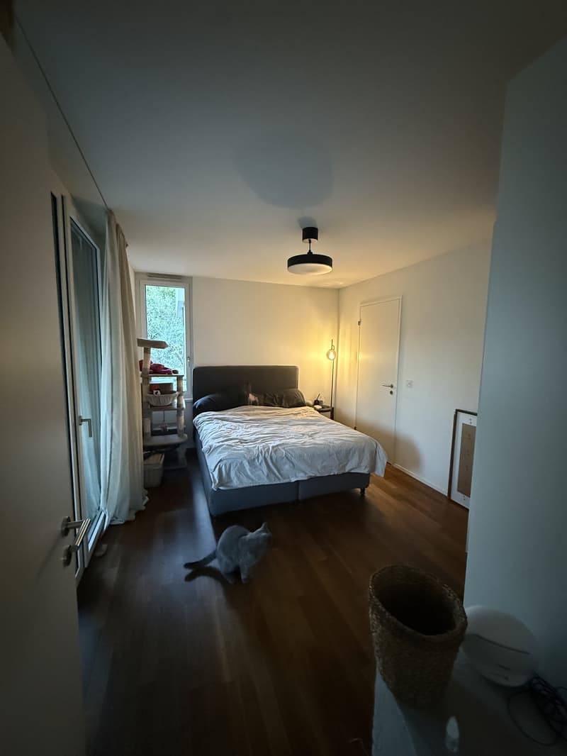 2.5-Zimmer-Wohnung in Zürich Manegg (10)