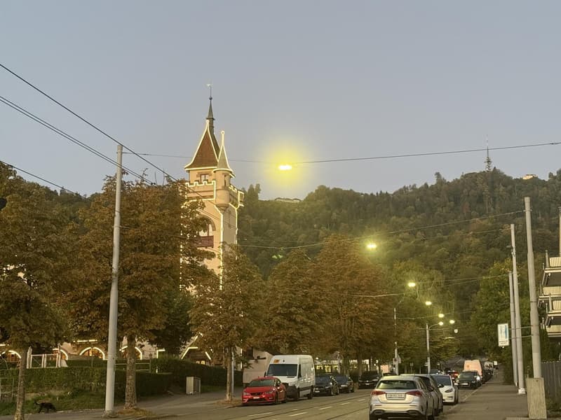 Charmante Wohnung in Zürich Nachmieter gesucht (6)