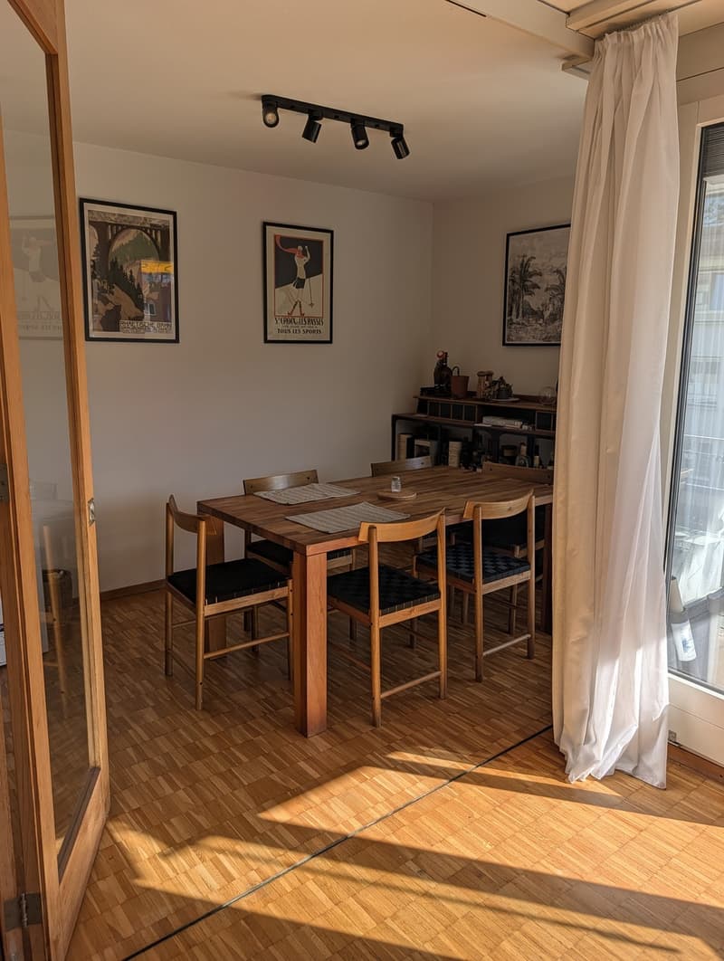 Room in Zurich Seefeld close to Chinagarten (4)