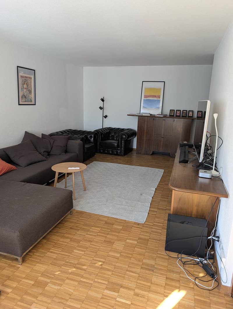 Room in Zurich Seefeld close to Chinagarten (2)