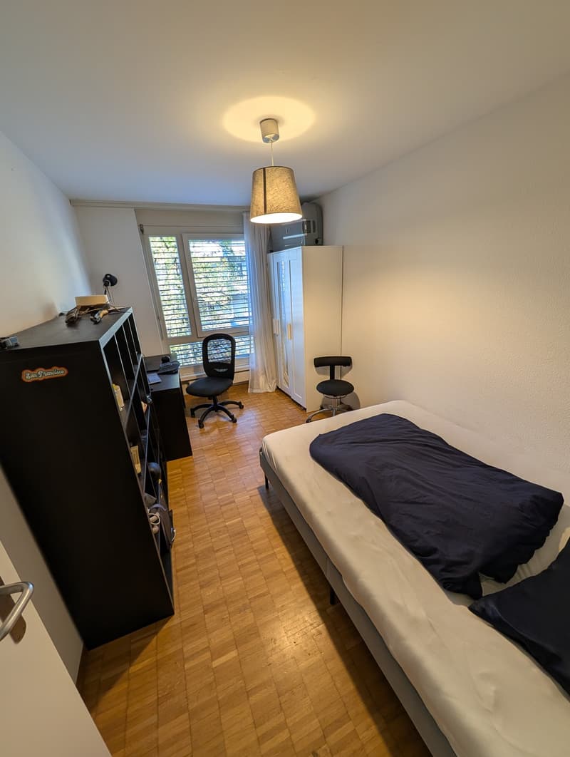 Room in Zurich Seefeld close to Chinagarten (1)