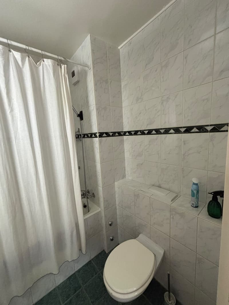 Charmant 3 pièces lumineux avec parquet et cuisine séparée  Genève (7)