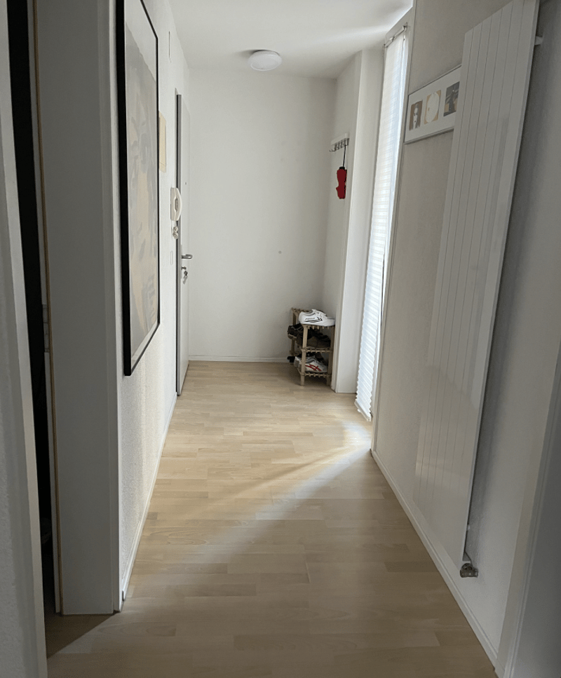 2 1/2 Möblierte Wohnung zur Untermiete / befristet - Zürich Kreis 5 / Limmatplatz (1)
