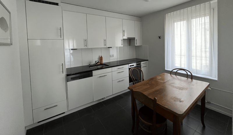 2 1/2 Möblierte Wohnung zur Untermiete / befristet - Zürich Kreis 5 / Limmatplatz (3)