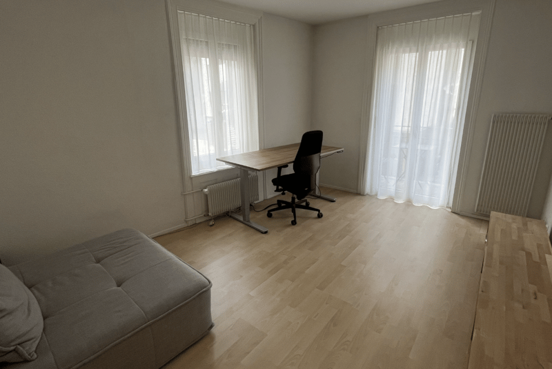 2 1/2 Möblierte Wohnung zur Untermiete / befristet - Zürich Kreis 5 / Limmatplatz (5)